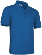 polo ρουά